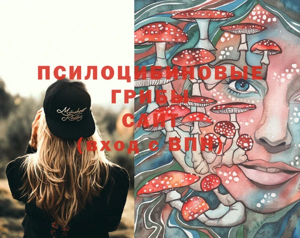 винт Вяземский