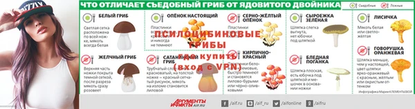 винт Вяземский