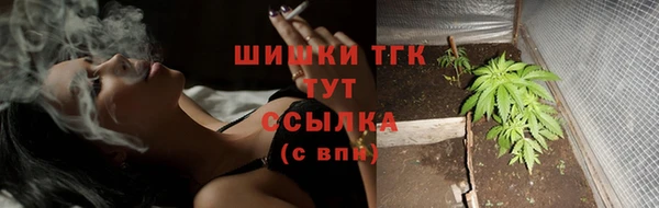 винт Вяземский