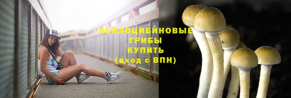 винт Вяземский