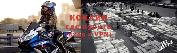 винт Вяземский